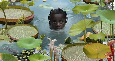 Nizozemsk autor Ruud van Empel vystavuje v prask Galerii Leica portrty dt